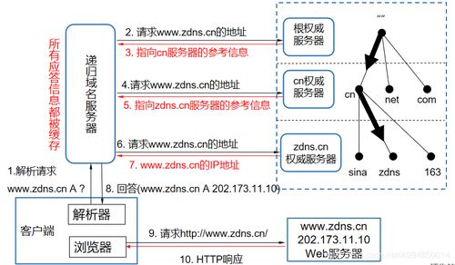 域名系統(tǒng)(DNS) 互聯(lián)網(wǎng)的“電話簿”——起源、原理與服務(wù)解析