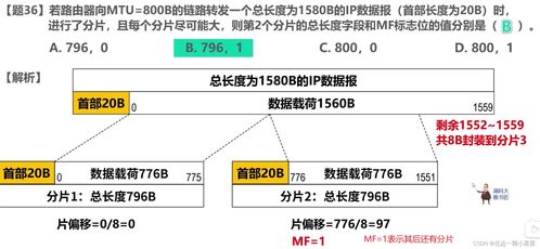 計算機網絡408題（2020-2022） 聚焦開發與服務的核心考點解析