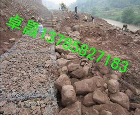 卓昌河道護(hù)岸鉛絲石籠 生態(tài)修復(fù)與防洪安全的雙重守護(hù)